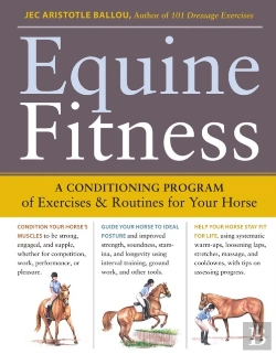Bertrand.pt - Equine Fitness