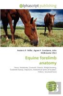 Equine Forelimb Anatomy