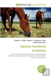 Equine Forelimb Anatomy