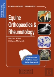 Equine Orthopaedics And Rheumatology