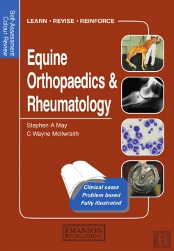 Bertrand.pt - Equine Orthopaedics And Rheumatology