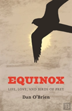 Bertrand.pt - Equinox