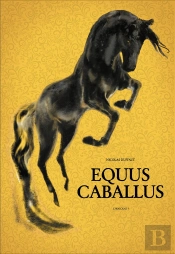 Equus Caballus
