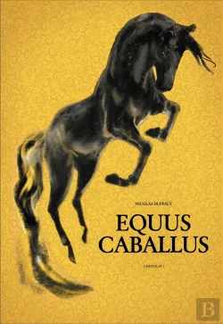 Bertrand.pt - Equus Caballus