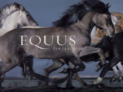 Equus
