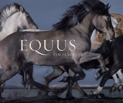 Bertrand.pt - Equus
