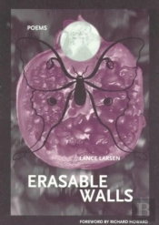 Erasable Walls