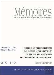 Ergodic Properties Of Some Negatively Cu