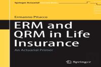 Erm And Qrm In Life Insurance