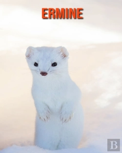 Bertrand.pt - Ermine