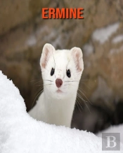 Ermine