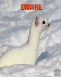 Bertrand.pt - Ermine
