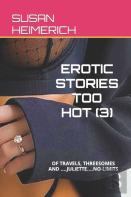 Erotic Stories Too Hot (3)