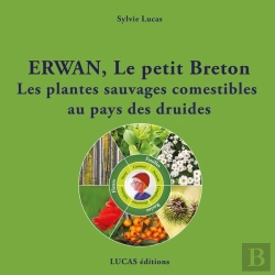 Bertrand.pt - Erwan, Le Petit Breton Les Plantes Sauvages Comestibles Au Pays Des Druides