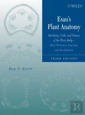 Esau'S Plant Anatomy