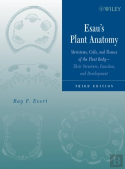 Bertrand.pt - Esau'S Plant Anatomy