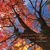 Escape Into Nature... And Soothe Your Soul