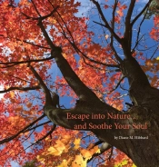 Escape Into Nature... And Soothe Your Soul