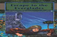 Escape To The Everglades