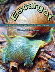 Escargot Life Escapes Grayscale Adult Coloring Books
