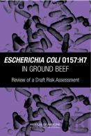 Escherichia Coli O157:H7 In Ground Beef