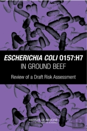 Escherichia Coli O157:H7 In Ground Beef