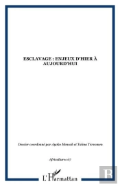 Esclavage : Enjeux D'Hier À Aujourd'Hui