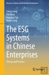 Esg Systems In Chinese Enterprises