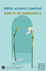 Espejo De Emergencia