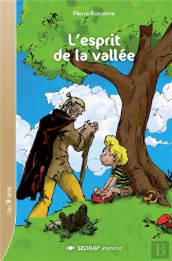 Bertrand.pt - Esprit De La Vallee - 30 Romans + Fichier