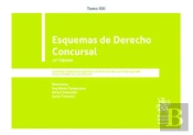 Esquemas De Derecho Concursal Tomo Xxi