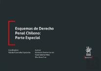 Esquemas De Derecho Penal Chileno: Parte Especial