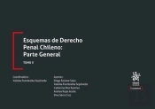 Esquemas De Derecho Penal Chileno: Parte General Tomo Ii