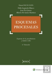 Esquemas Procesales (6.ª Edición)