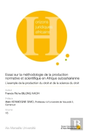 Essai Sur La Méthodologie De La Production Normative Et Scientifique En Afrique Subsaharienne : L'Exemple De La Production Du Droit Et De La Science Du Droit