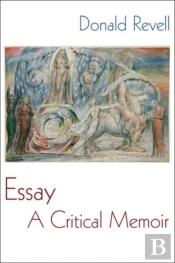 Essay