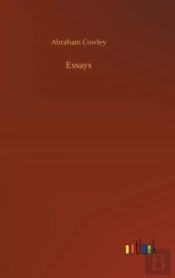 Essays