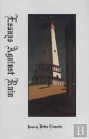 Essays Against Ruin
