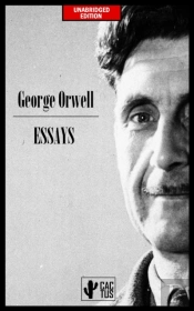 Essays