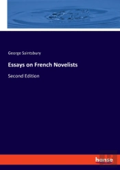 Essays On French Novelists