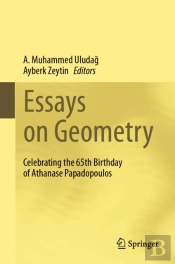 Essays On Geometry