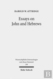 Essays On John And Hebrews