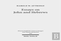 Essays On John And Hebrews