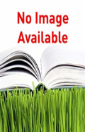 Essays On Law And Morality