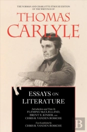 Essays On Literature