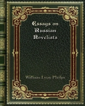 Essays On Russian Novelists