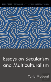 Essays On Secularism And Multiculturalism