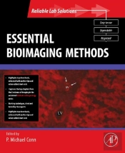 Essential Bioimaging Methods