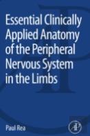 Essential Clinically Applied Anatomy Of The Peripheral Nervous System In The Limbs