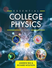 Essential College Physics Volume Ii